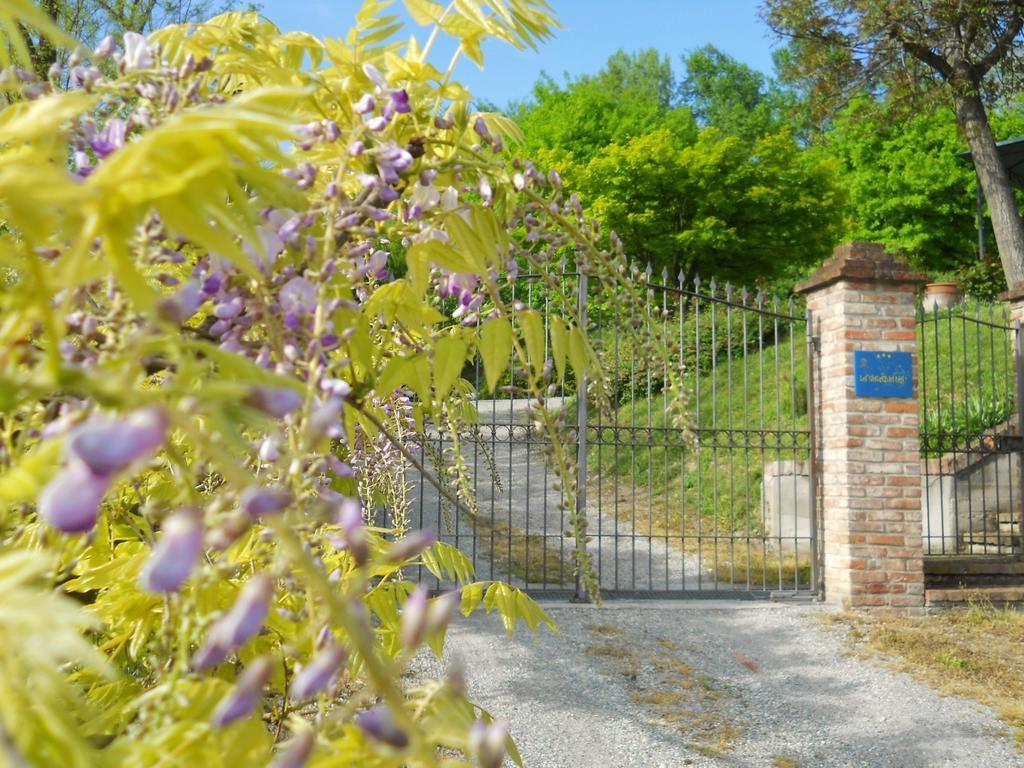 Tenuta Calabiana Diano dʼAlba Rom bilde