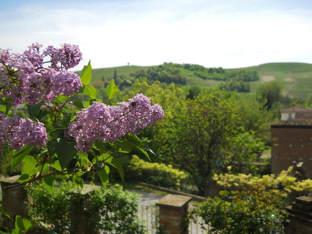 Tenuta Calabiana Diano dʼAlba Rom bilde