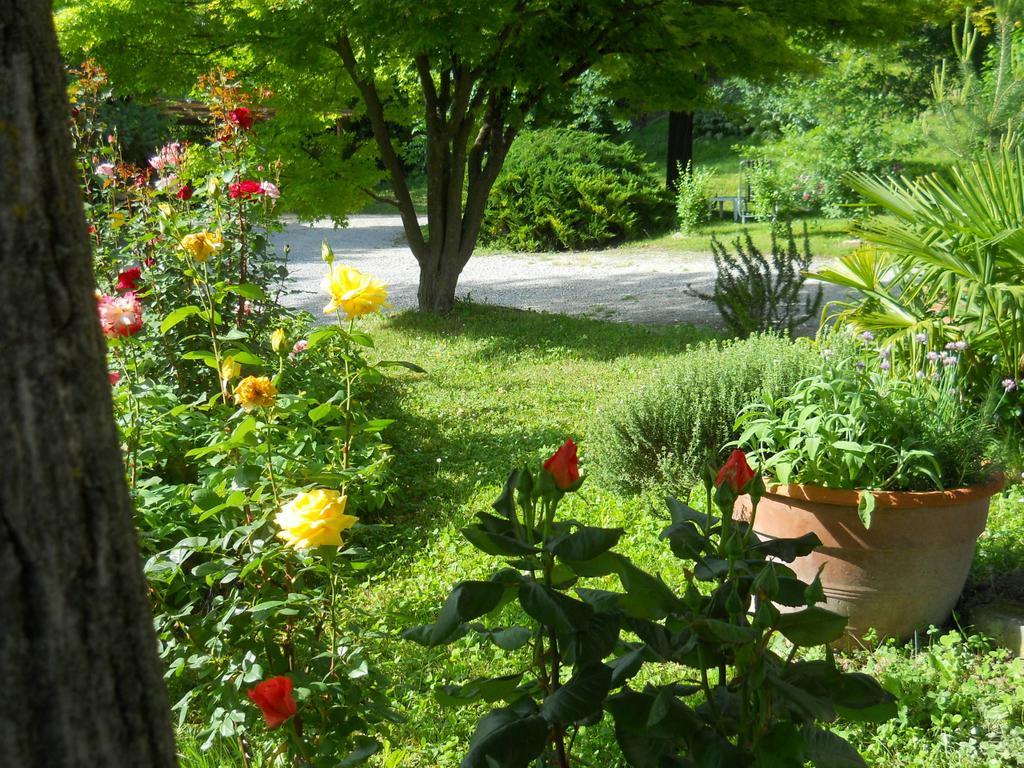 Tenuta Calabiana Diano dʼAlba Rom bilde