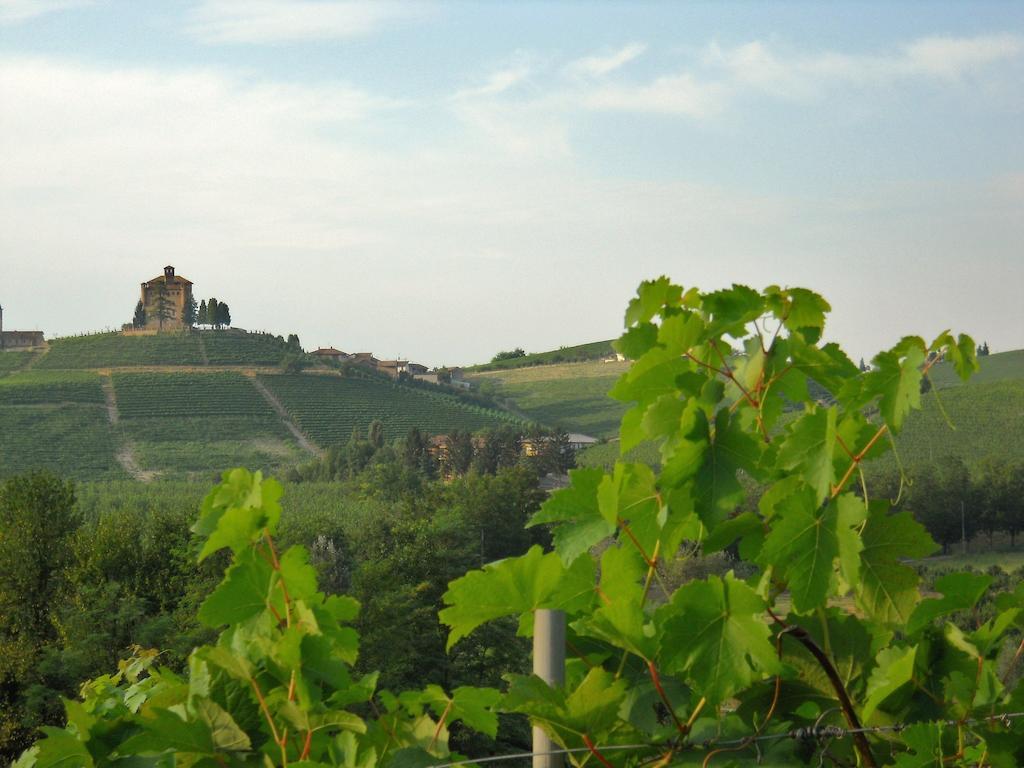 Tenuta Calabiana Diano dʼAlba Rom bilde