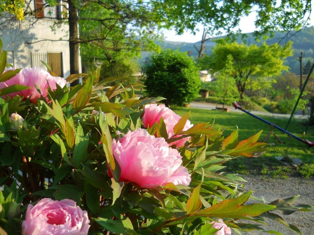 Tenuta Calabiana Diano dʼAlba Rom bilde